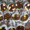 Dry Fruit Rolls