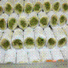 Pista Burfi