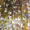 Dry Fruit Burfi