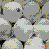 Atta Laddu